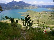 Zahara - 10