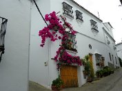 Zahara - 4