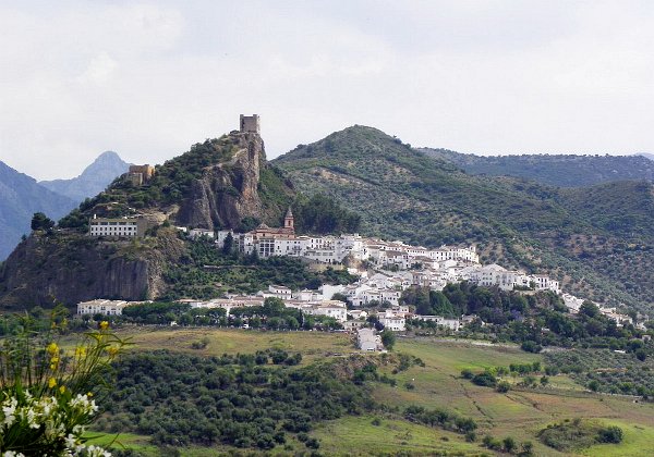Zahara
