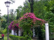 Seville - 13