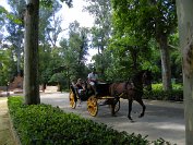 Seville - 9