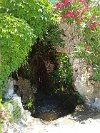 Avignon - 14