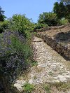 Vaison la Romaine - 15