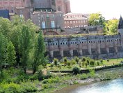 Albi - 18
