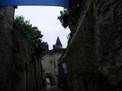 Chateau de Loches - 14